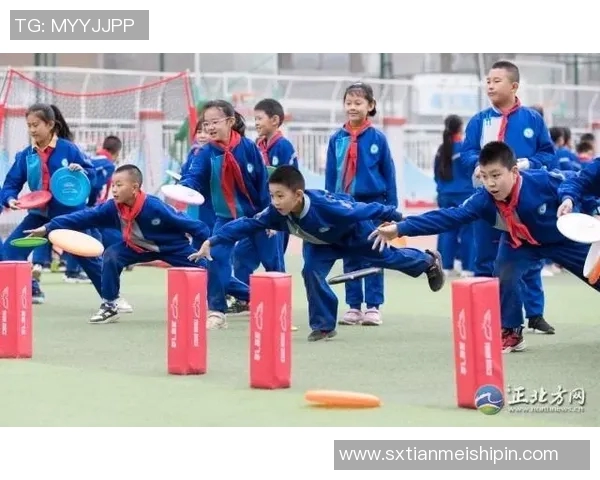 刘芳独家分享飞盘技巧与心得体会助你轻松掌握这项运动的乐趣与魅力