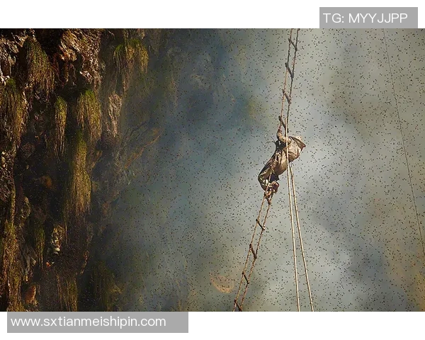 科学攀岩中的团队协作训练策略与实践探索