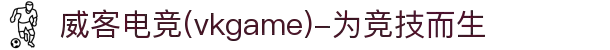 威客电竞(vkgame)-为竞技而生